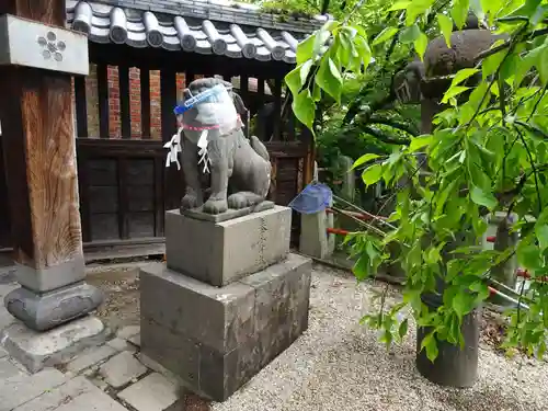 牛嶋天満宮の狛犬