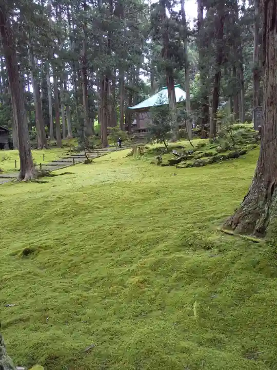 平泉寺白山神社(福井県)