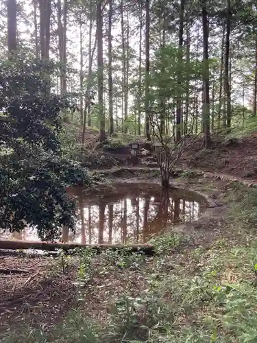 天宮神社の自然