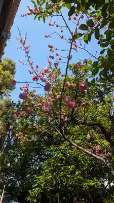 霊光殿天満宮(京都府)
