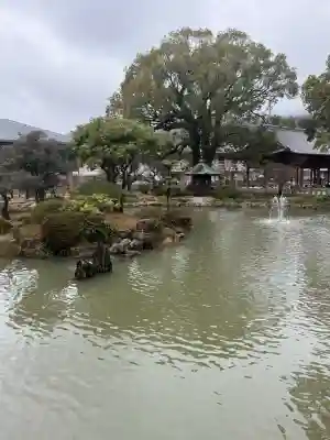 太宰府天満宮の{uncategorized: "未分類", other: "その他", undefined: "問題あり", building: "その他建物", grave: "お墓", sacred_gate: "鳥居", guardian: "狛犬", statue: "像", buddha: "仏像", history: "歴史", nature: "自然", garden: "庭園", animal: "動物", pagoda: "塔", temizu: "手水舎", mountain_gate: "山門・神門", sanctuary: "本殿・本堂", subordinate: "末社・摂社", art: "芸術", scenery: "景色", jizo: "地蔵", ema: "絵馬", goshuin: "御朱印", omikuji: "おみくじ", items: "授与品その他", amulet: "お守り", goshuincho: "御朱印帳", eats: "食事", festival: "お祭り", votive_dance: "神楽", shichigosan: "七五三参", wedding: "結婚式", experience: "体験その他", initially: "初詣", around: "周辺", anti_infection: "感染症対策"}