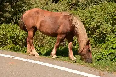 国賀神社(島根県)