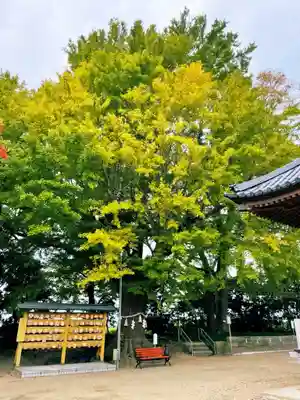 白子神社の自然