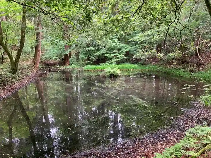 平泉寺白山神社(福井県)