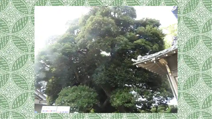 九重神社(埼玉県)