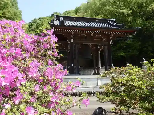 長泉寺のその他建物
