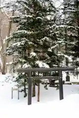 定山渓神社(北海道)