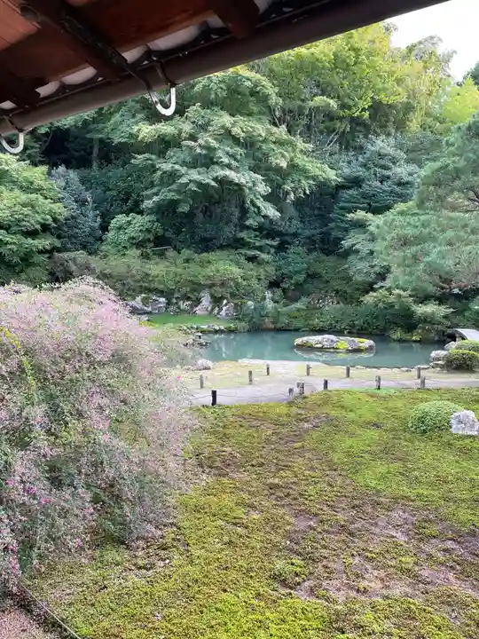 青蓮院門跡(京都府)