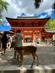 春日大社(奈良県)