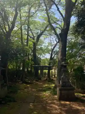 熊野神社(千葉県)