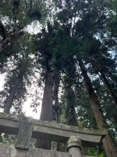 大宮温泉神社(栃木県)