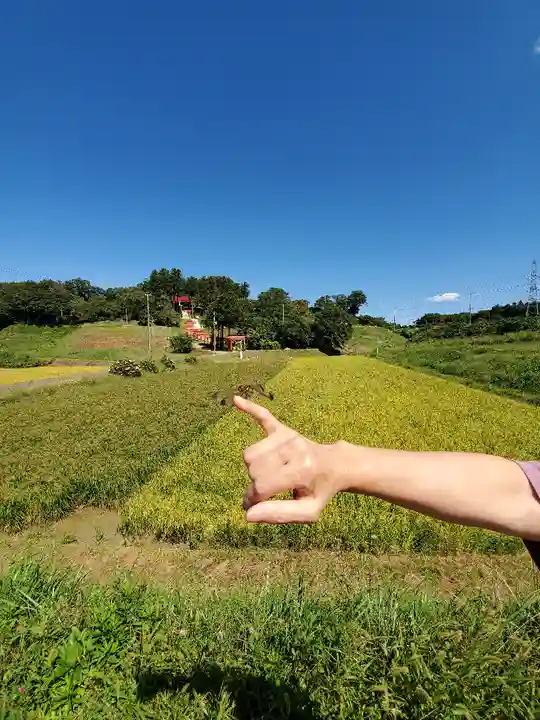 高屋敷稲荷神社の景色