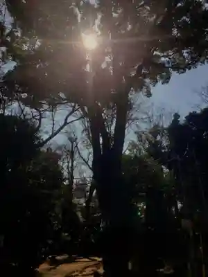 代々木八幡宮(東京都)