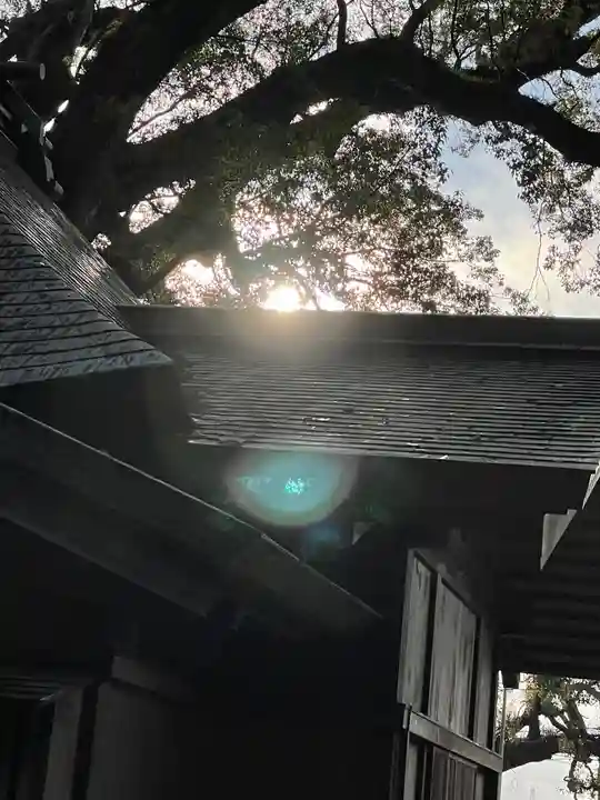 伊勢神明社の本殿・本堂