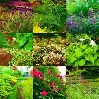 寿量山 速成寺の自然