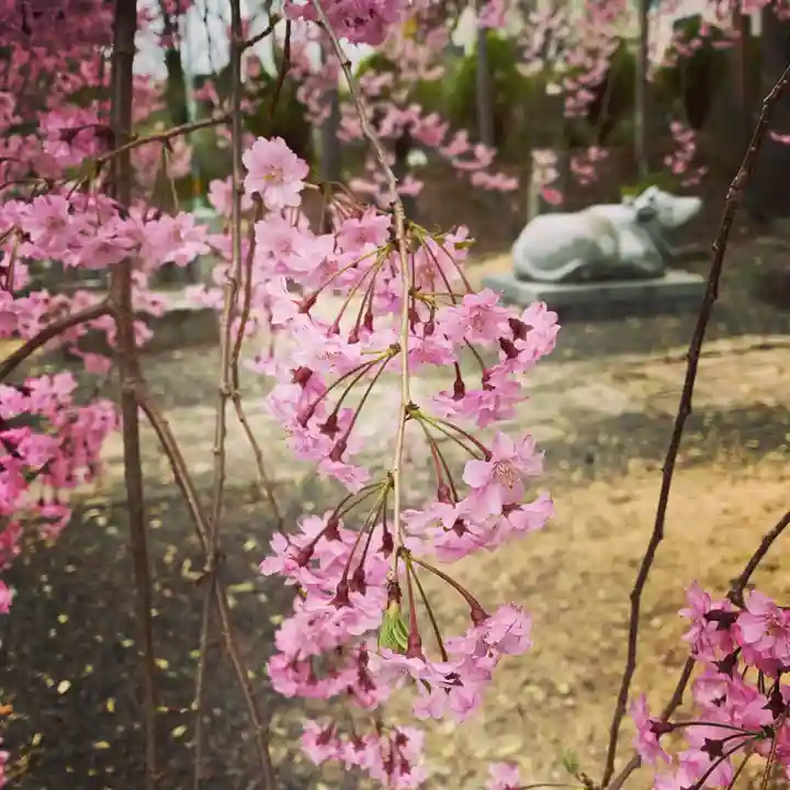 豊景神社の自然
