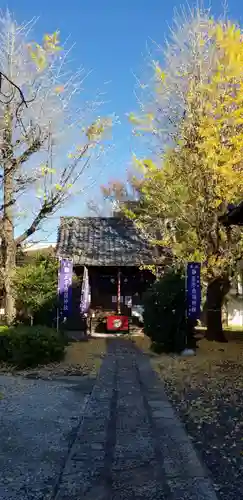 王子白髭神社の本殿・本堂