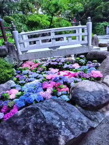 岡寺（龍蓋寺）(奈良県)