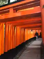 伏見稲荷大社の鳥居