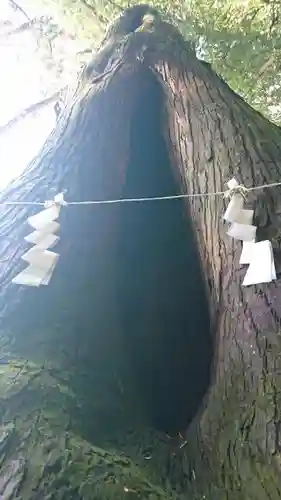 菅東山出世稲荷神社の自然