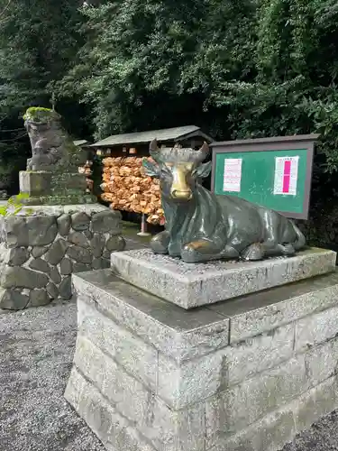 谷保天満宮(東京都)