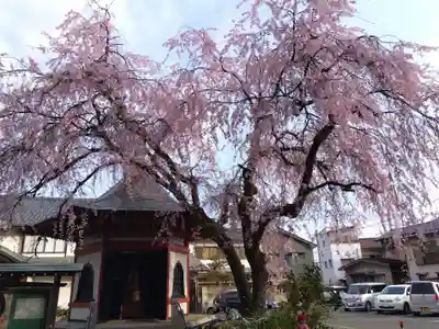 安養寺(福井県)