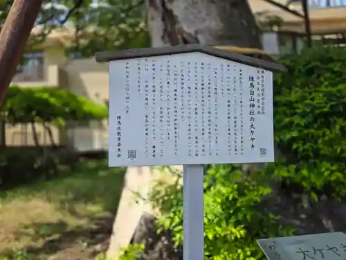 白山神社(東京都)