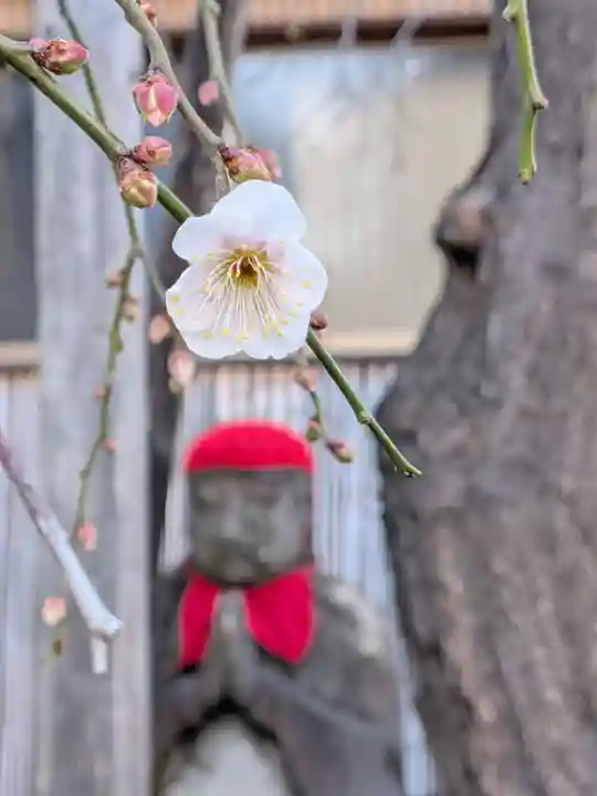 成願寺(東京都)