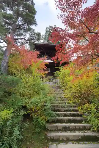 常寂光寺(京都府)