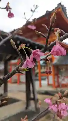 新日吉神宮(京都府)