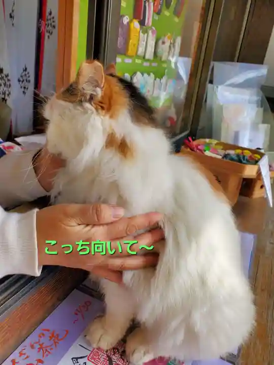 阿邪訶根神社(福島県)