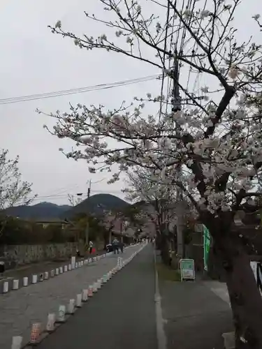 本妙寺(熊本県)