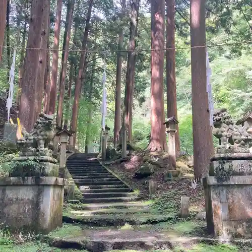 大嶽山那賀都神社の狛犬