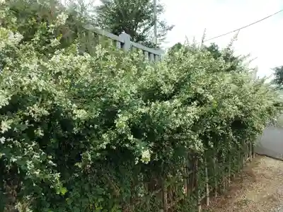 寺岡山元三大師(栃木県)