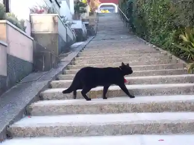 石峯寺(京都府)