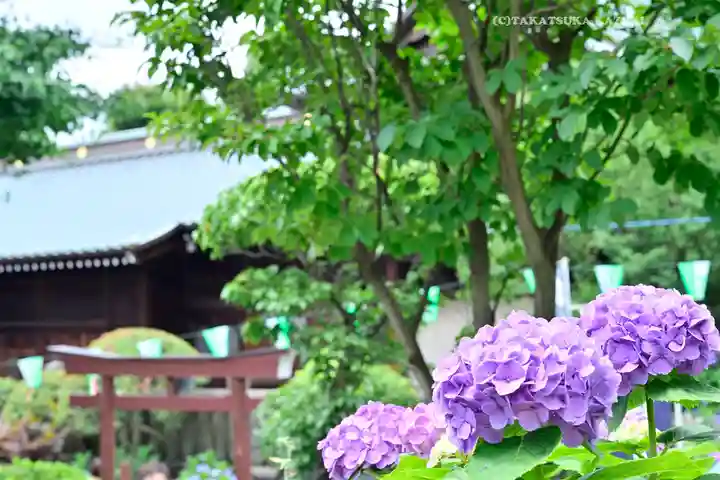 白山神社(東京都)