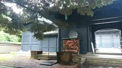 湯島聖堂の絵馬