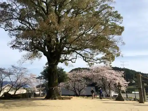 荒穂神社の自然