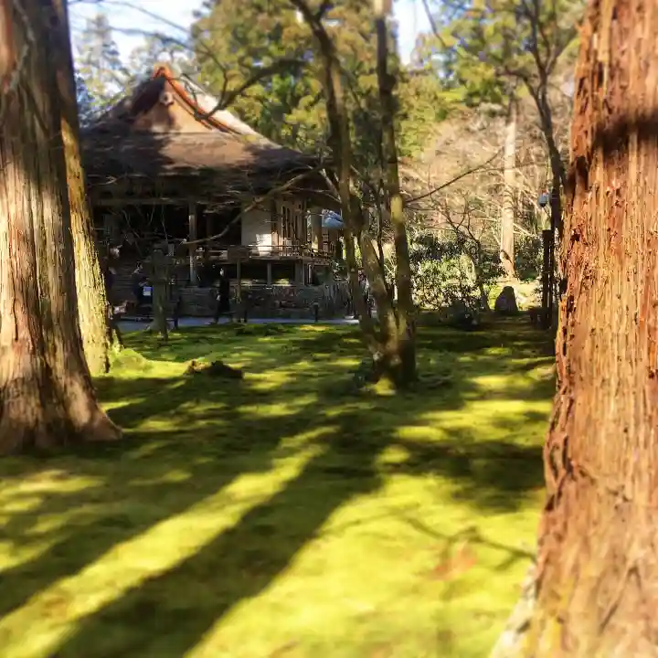 三千院門跡の本殿・本堂