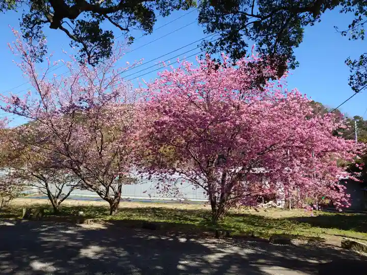 川津来宮神社の自然