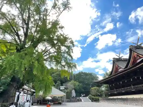 吉備津神社の{uncategorized: "未分類", other: "その他", undefined: "問題あり", building: "その他建物", grave: "お墓", sacred_gate: "鳥居", guardian: "狛犬", statue: "像", buddha: "仏像", history: "歴史", nature: "自然", garden: "庭園", animal: "動物", pagoda: "塔", temizu: "手水舎", mountain_gate: "山門・神門", sanctuary: "本殿・本堂", subordinate: "末社・摂社", art: "芸術", scenery: "景色", jizo: "地蔵", ema: "絵馬", goshuin: "御朱印", omikuji: "おみくじ", items: "授与品その他", amulet: "お守り", goshuincho: "御朱印帳", eats: "食事", festival: "お祭り", votive_dance: "神楽", shichigosan: "七五三参", wedding: "結婚式", experience: "体験その他", initially: "初詣", around: "周辺", anti_infection: "感染症対策"}