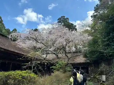 吉野水分神社（吉野町）(奈良県)