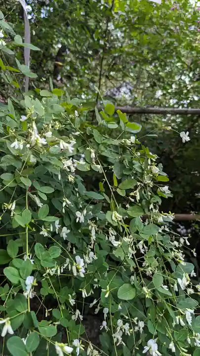 梨木神社(京都府)
