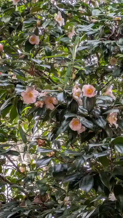 新宮神社(京都府)