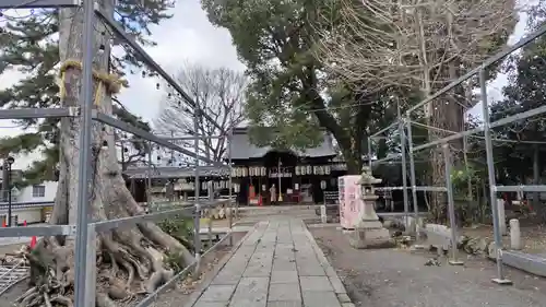縣神社の本殿・本堂