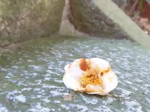 宝厳寺(滋賀県)