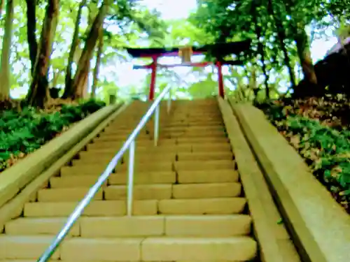 氷川女體神社の鳥居