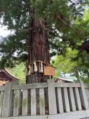 諏訪大社下社秋宮(長野県)