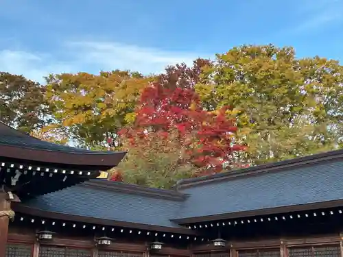 長野縣護國神社(長野県)