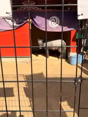 神田神社（神田明神）の{uncategorized: "未分類", other: "その他", undefined: "問題あり", building: "その他建物", grave: "お墓", sacred_gate: "鳥居", guardian: "狛犬", statue: "像", buddha: "仏像", history: "歴史", nature: "自然", garden: "庭園", animal: "動物", pagoda: "塔", temizu: "手水舎", mountain_gate: "山門・神門", sanctuary: "本殿・本堂", subordinate: "末社・摂社", art: "芸術", scenery: "景色", jizo: "地蔵", ema: "絵馬", goshuin: "御朱印", omikuji: "おみくじ", items: "授与品その他", amulet: "お守り", goshuincho: "御朱印帳", eats: "食事", festival: "お祭り", votive_dance: "神楽", shichigosan: "七五三参", wedding: "結婚式", experience: "体験その他", initially: "初詣", around: "周辺", anti_infection: "感染症対策"}